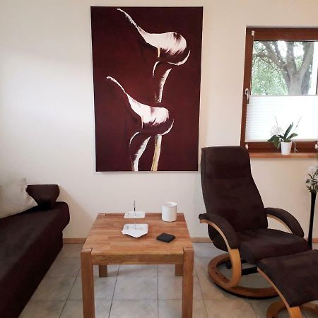 Ferienwohnung Adams Hinterweiler 外观 照片