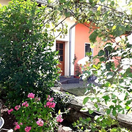 Ferienwohnung Adams Hinterweiler 外观 照片