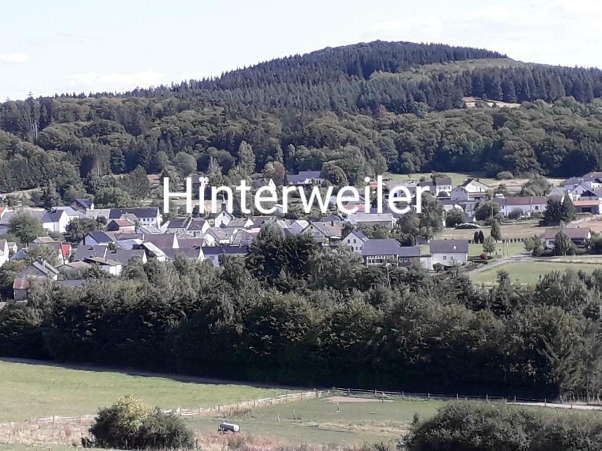 Ferienwohnung Adams Hinterweiler 外观 照片