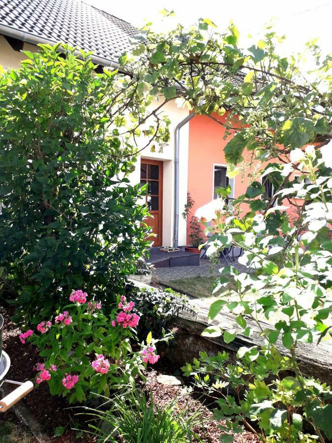 Ferienwohnung Adams Hinterweiler 外观 照片
